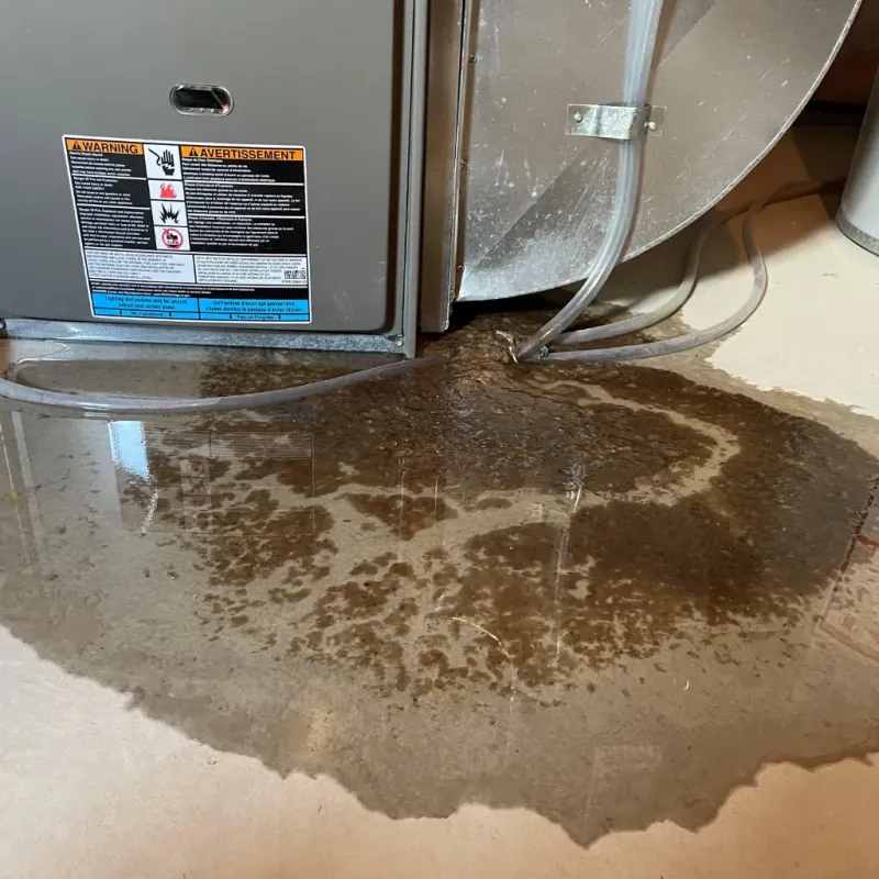 Appliance Leak Cleanup in Hazelwood, NC